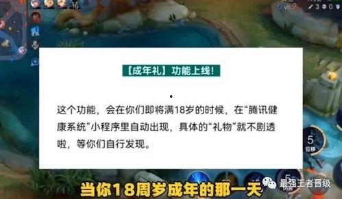 婉儿皮肤传说最新爆料,神秘传说，华丽绽放